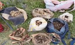 Kastamonu’da kilosu 13 bin lira: Bu hatayı yapanın ocağı söner!