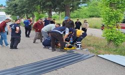 Pikap ile kamyonet çarpıştı: 5 yaralı!