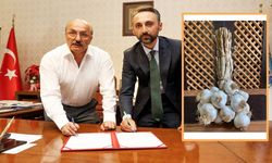 Taşköprü’de sarımsak için stratejik imza