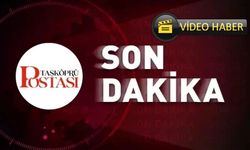 Son dakika! Taşköprü’de kundaklama: Hepsi alev alev yandı