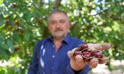 Bahçede 70, markette 200 Lira!