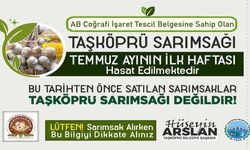 Taşköprü sarımsağı için kritik uyarı: Hasat öncesi ürünlere dikkat