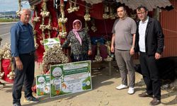 Taşköprü sarımsağı için sahada yoğun denetim: Taklit ürünlere geçit yok