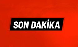 Tatil kabusa döndü: 16 aylık bebek havuza düştü