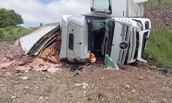 Tavuk yüklü tır şarampole yuvarlandı