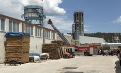 Kastamonu'da OSB'de fabrika yangını: Talaş silosu alevlere teslim oldu