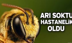 Bahçede arı saldırısı: Bir kadın yoğun bakımda
