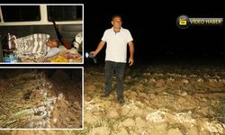 Taşköprü'de 'Beyaz Altın'a silahlı nöbet