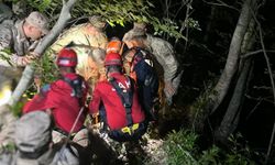 Kastamonu’da kayıp şahıs uçurumdan düşmüş halde bulundu
