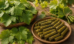 Tosya Yaprağı tescilleniyor