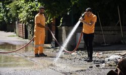 Cide’de seferberlik: 800 personel sahada