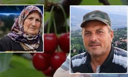 Son dakika: Kastamonu’da korkunç olay! Kiraz yiyen karı koca hayatını kaybetti