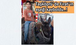 Taşköprü'de kayıp eşek için seferberlik: Fırat, müjdeli haberi bekliyor