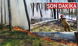 Son dakika: Kastamonu'da orman yangını çıktı! Havadan ve karadan müdahale