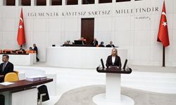 Kastamonu Milletvekili Ekmekci, TBMM'de Cide'deki sel felaketine ilişkin açıklamalarda bulundu