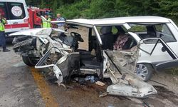 Feci kazada can pazarı: Kastamonu plakalı tıra çarptı