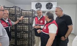 Kastamonu tarımına önemli yatırım: Sarımsak için modern depolama dönemi