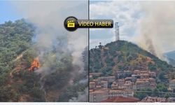 Son dakika: Tosya'da orman yangını çıktı! 'Panik yapmayın' çağrısı