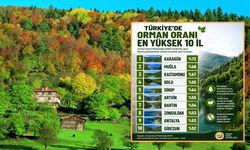 Kastamonu, Türkiye’nin en yeşil 3'üncü ili