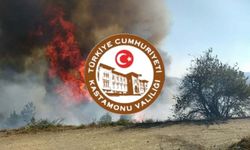 Kastamonu Valiliğinden 'Yeşil Vatan' uyarısı: Risk arttı!