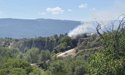 Kastamonu’da alevler ormana ramak kala durduruldu