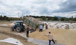 Kastamonu'da TMO'da hububat alımları devam ediyor, kapasite artırılacak