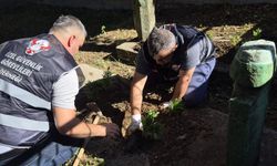 Kastamonu'da tarihi türbe için örnek çalışma: Özel Güvenlik Görevlileri Derneği'nden anlamlı etkinlik