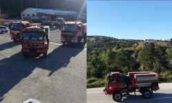 Kastamonu'dan Balıkesir'deki orman yangınına destek