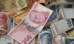 Kastamonulu Bakan duyurdu: Kırsaldaki üreticilere 315,7 milyon lira destek