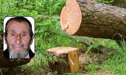 Kestiği ağaç üzerine devrildi: Yaşlı adam kurtarılamadı