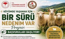Kastamonu’da başladı: Köye döneceklere büyük fırsat