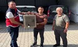 Kastamonu'da yaralı leylek kurtarıldı