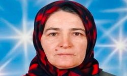 Hanönü'de acı kayıp: Lütfiye Karakoç hayatını kaybetti