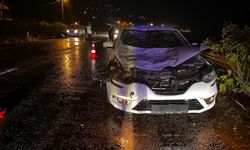 Otomobil büyükbaş hayvana çarptı: 1 yaralı