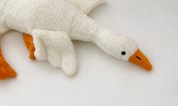 Bakanlık harekete geçti: Peluş kaz oyuncağı toplatılıyor