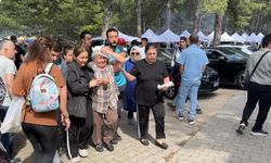 Şenlik kabusa döndü: Ağaçtan düşen dal yaşlı kadını yaraladı