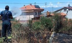 Son dakika: Taşköprü’de otluk alan alevlere teslim oldu