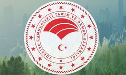 Kastamonulu Bakan duyurdu: Tarım ve Orman Bakanlığı 1.874 sözleşmeli personel alacak