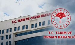 Tarım ve Orman Bakanlığı 1874 personel alacak: Başvuru tarihleri belli oldu