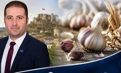 Taşköprü sarımsağı tartışmasına Anahtar Parti’den sert çıkış