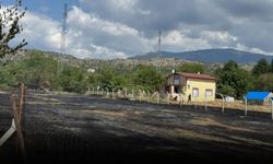Tosya’da kuru otlar tutuştu, ekipler seferber oldu