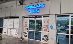 Pat-pat kazası yine can yaktı: 2 yaralı