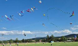 Daday’da renkli festival: Gökyüzü uçurtmalarla doldu