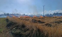 Kastamonu'da facia kıl payı önlendi
