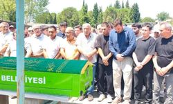 Ecel fındık bahçesinde geldi