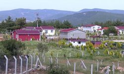 Hobi bahçesi olanlar veya alacak olanlar dikkat: Tapu Genel Müdürlüğü açıkladı!