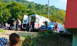 Kastamonu'da korku dolu anlar: Son anda kurtarıldı