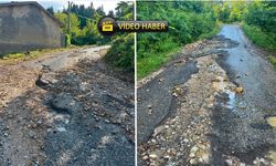 Kastamonu'da yol isyanı: 'Köyümüz yok oluyor!'