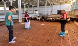 Kastamonu’da hayvancılık desteklemeleri için saha denetimi