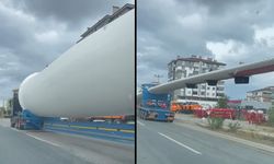 Kastamonu-Taşköprü yolunda dikkat çekmişti: Sırrı çözüldü